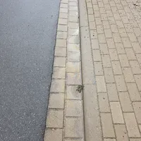 1000077148.jpg